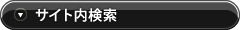 サイト内検索