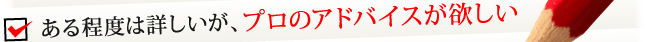 ある程度はITに詳しいが、プロのアドバイスが欲しい
